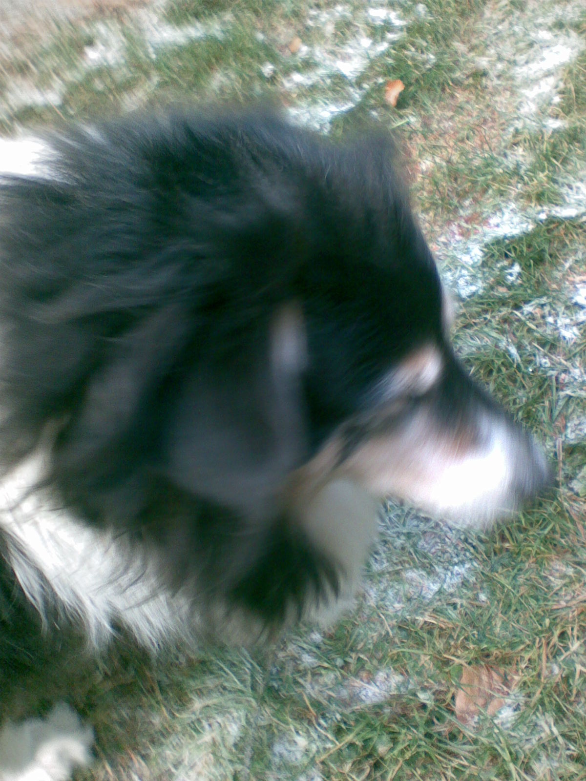 nokia leden 2009 111.jpg