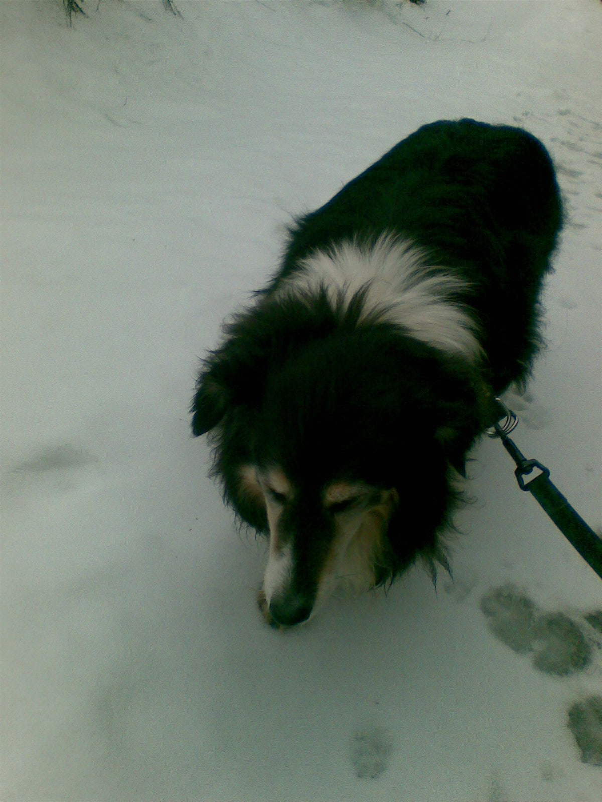 nokia 9.3.2009 023.jpg