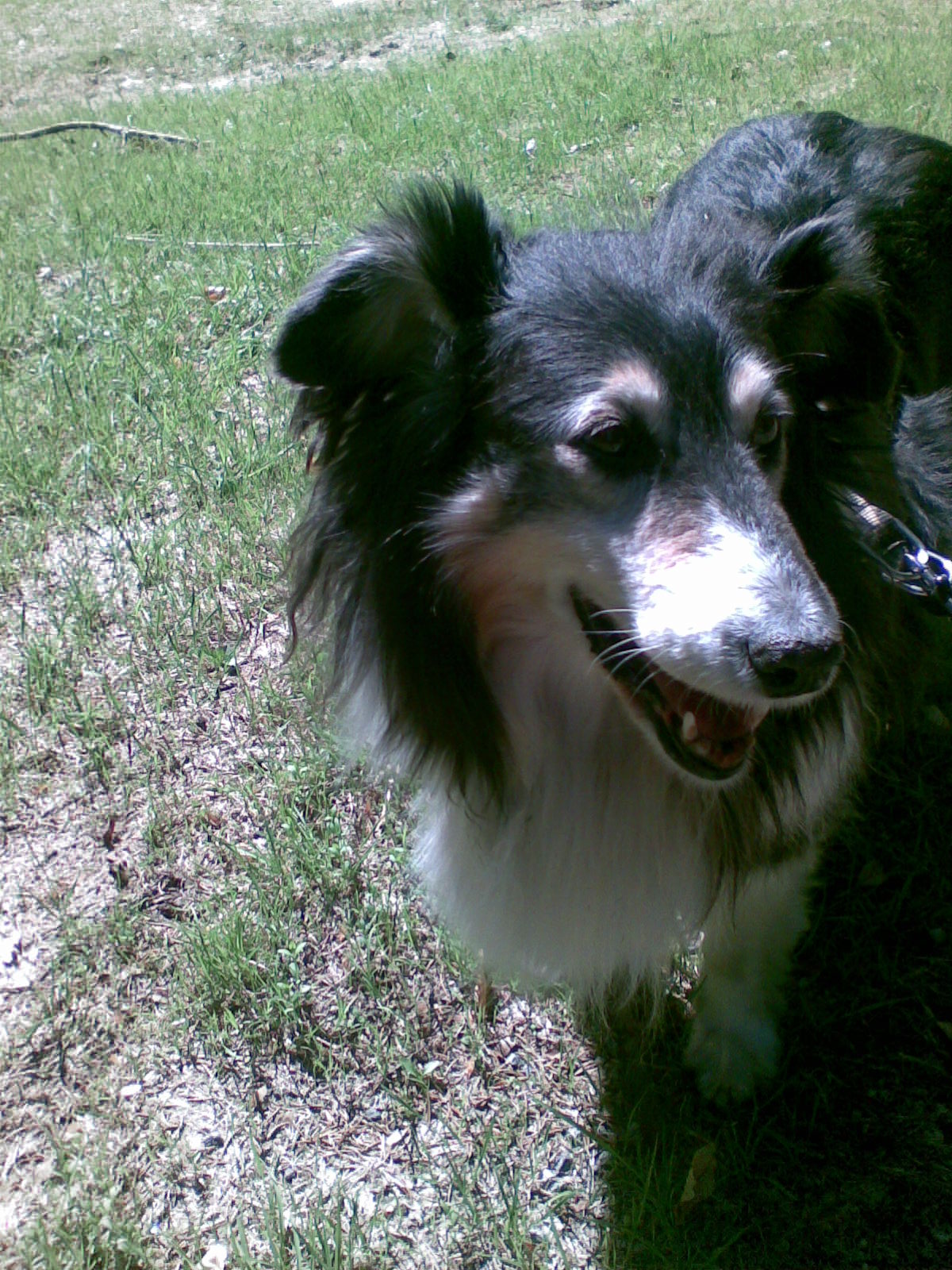 NOKIA 19.4.2009 007.jpg